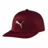 Puma Evoknit Pro Golf Cap